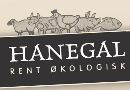 Design af folder til Hanegal