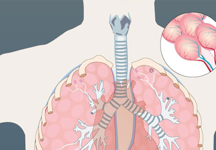 bioportal